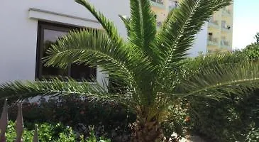 Buena Vista Protaras